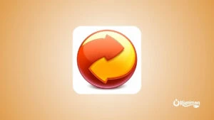 Any Video Converter – Universal Video & Audio Tool