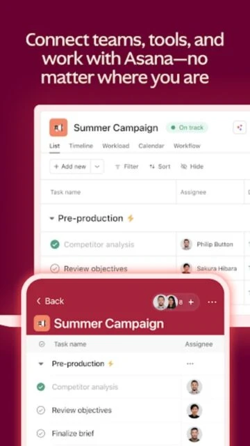 Asana - Team project