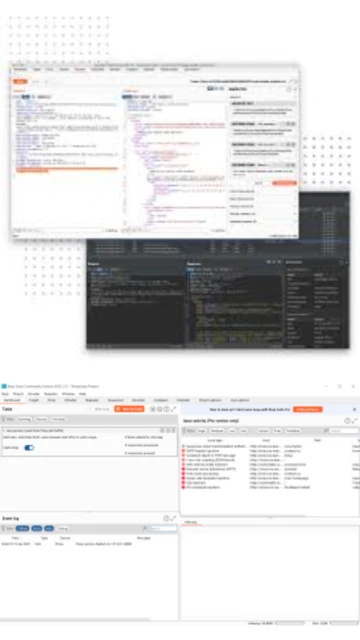 Burp Suite Screenshot