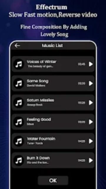 Video Editor Efectum