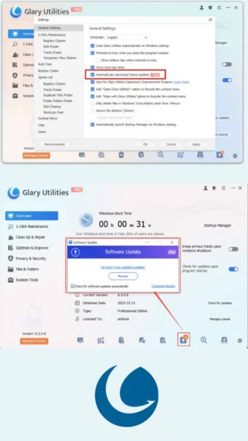 Glary Utilities settings for auto-updates. Software update window.
