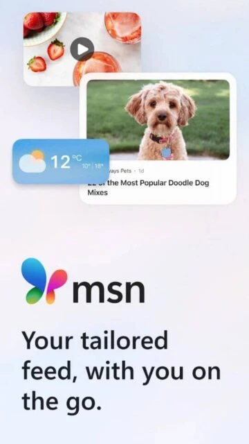 MSN Your tailored feed with you on the go featuring weather pets videos and articles