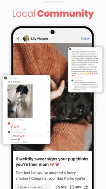 NewsBreak Local Community posts comments on dog stories with likes shares replies