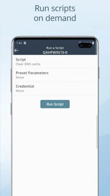 NinjaOne app run scripts on demand like Clear DNS cache with preset parameters and credentials