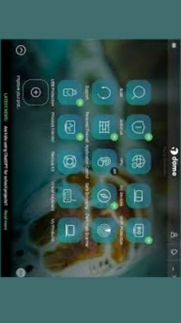 Panda Dome Essential