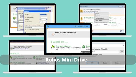Rohos Mini Drive