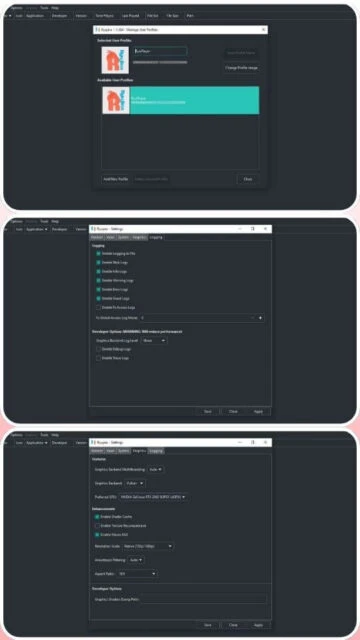 Ryujinx user profiles, logging options, and graphics enhancements.