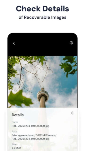 Stellar Recovery check details of recoverable images including name path size for informed recovery