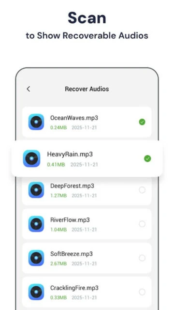 Stellar Recovery scan to show recoverable audios like OceanWaves.mp3 HeavyRain.mp3 with size date