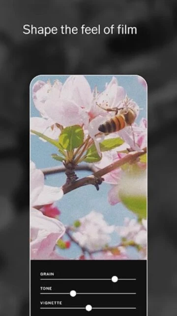 VSCO: Photo & Video Editor Screenshot