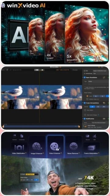 winXvideo AI demo: 4x/5x upscaling, seagull stabilization, 4K output.