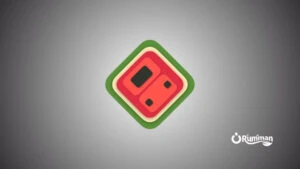 melonDS – Lightweight Nintendo DS and DSi emulator