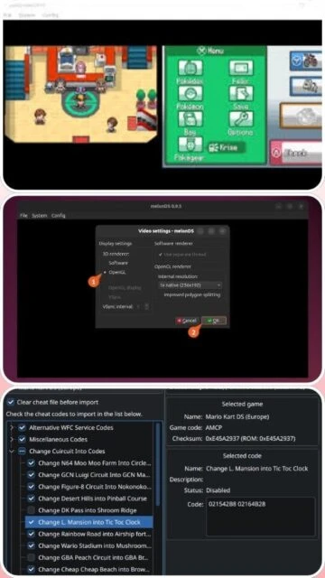MelonDS with Pokémon game, video settings panel, and cheat code manager open.