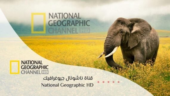 National Geographic free scientific documentaries channel