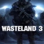 Wasteland 3