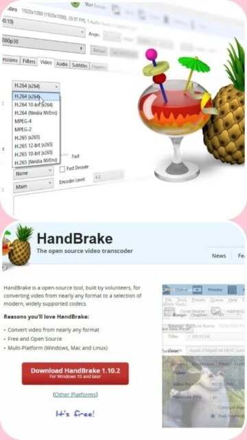 HandBrake homepage: download button, features, pineapple branding.